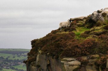 Ilkley 23/03/2024